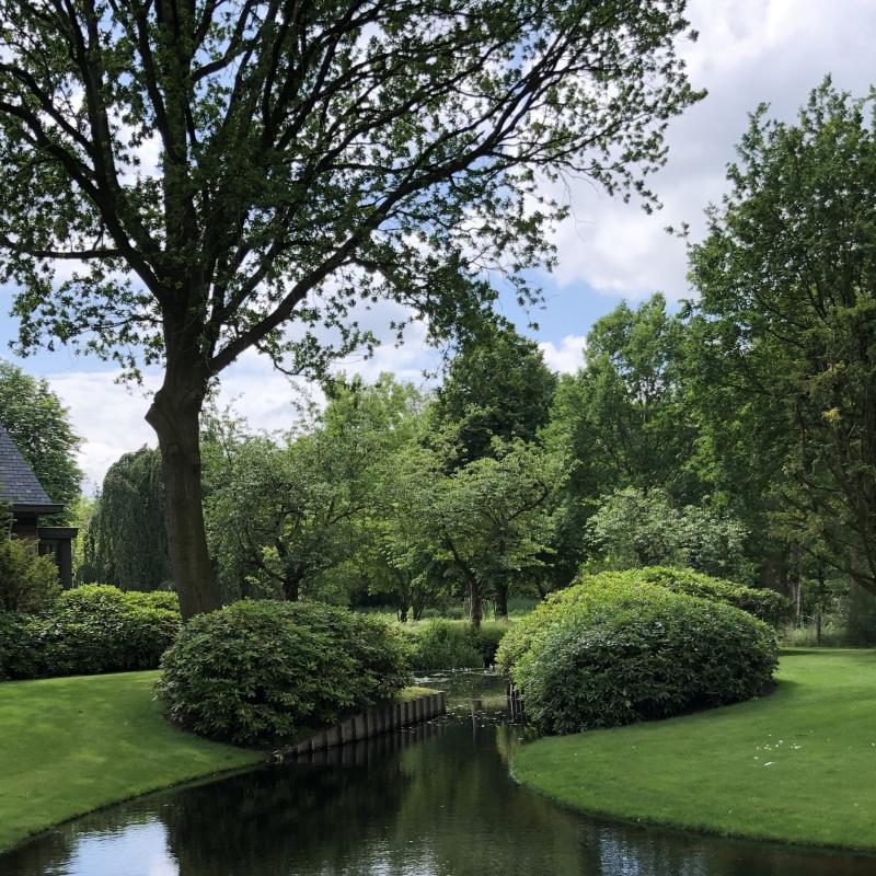 Rhododendronhagen